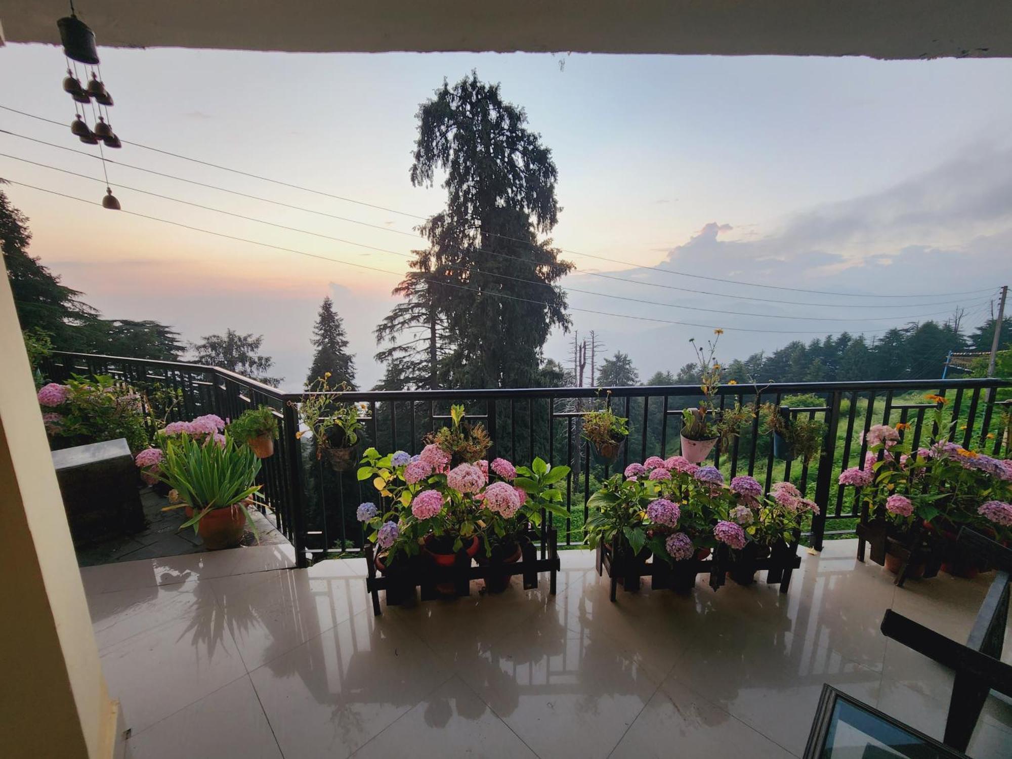 Forest Vibes Kalatop-Rooms And Restaurant Dalhousie Exterior foto