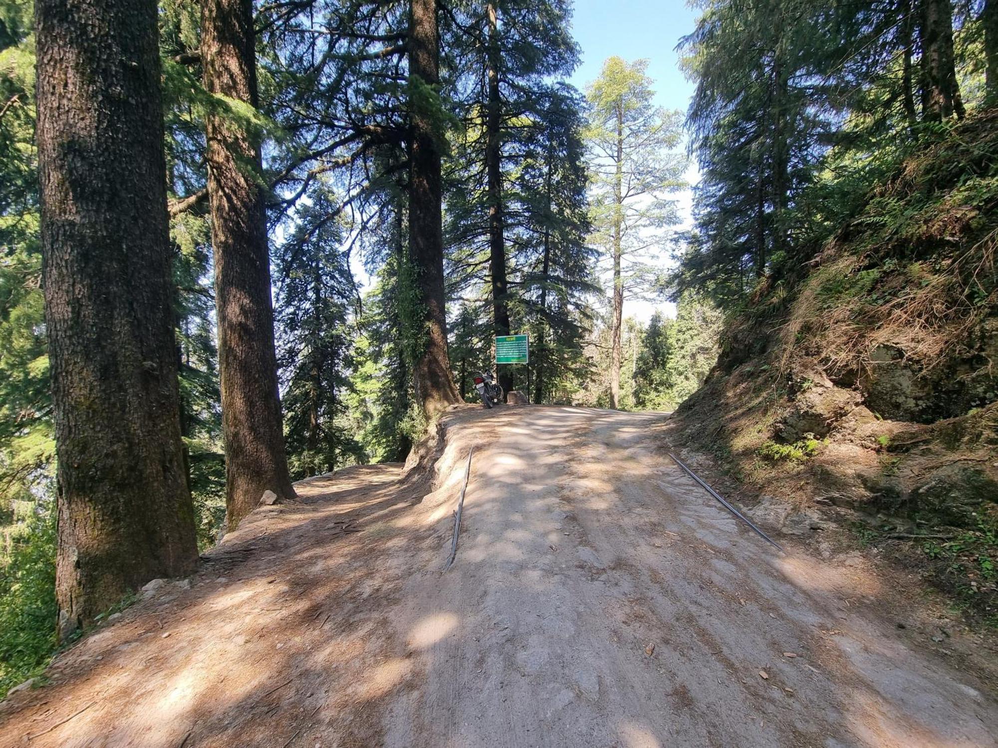 Forest Vibes Kalatop-Rooms And Restaurant Dalhousie Exterior foto